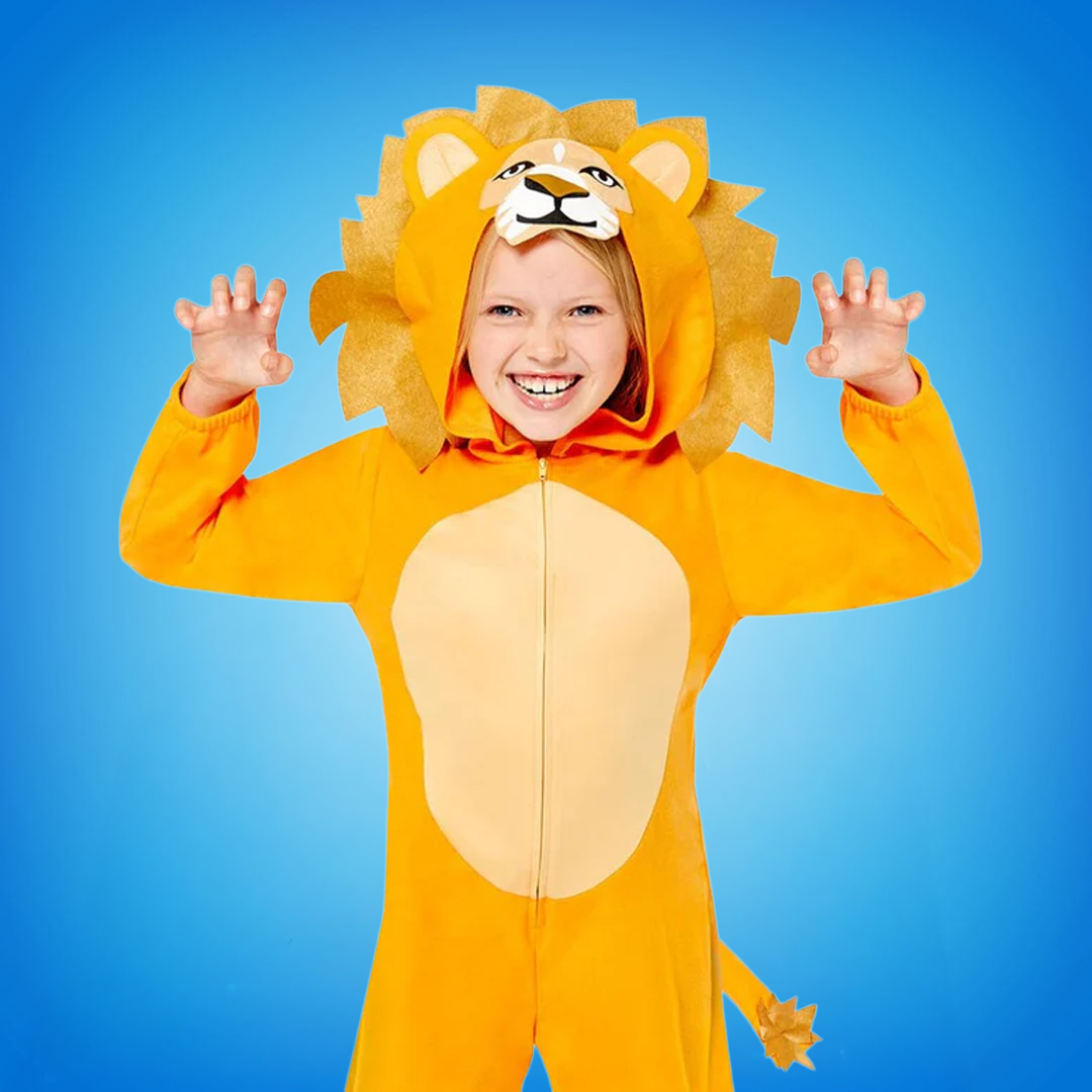 Girls Fancy Dress