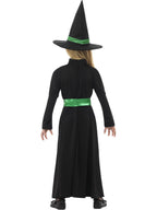Wicked Witch Costume