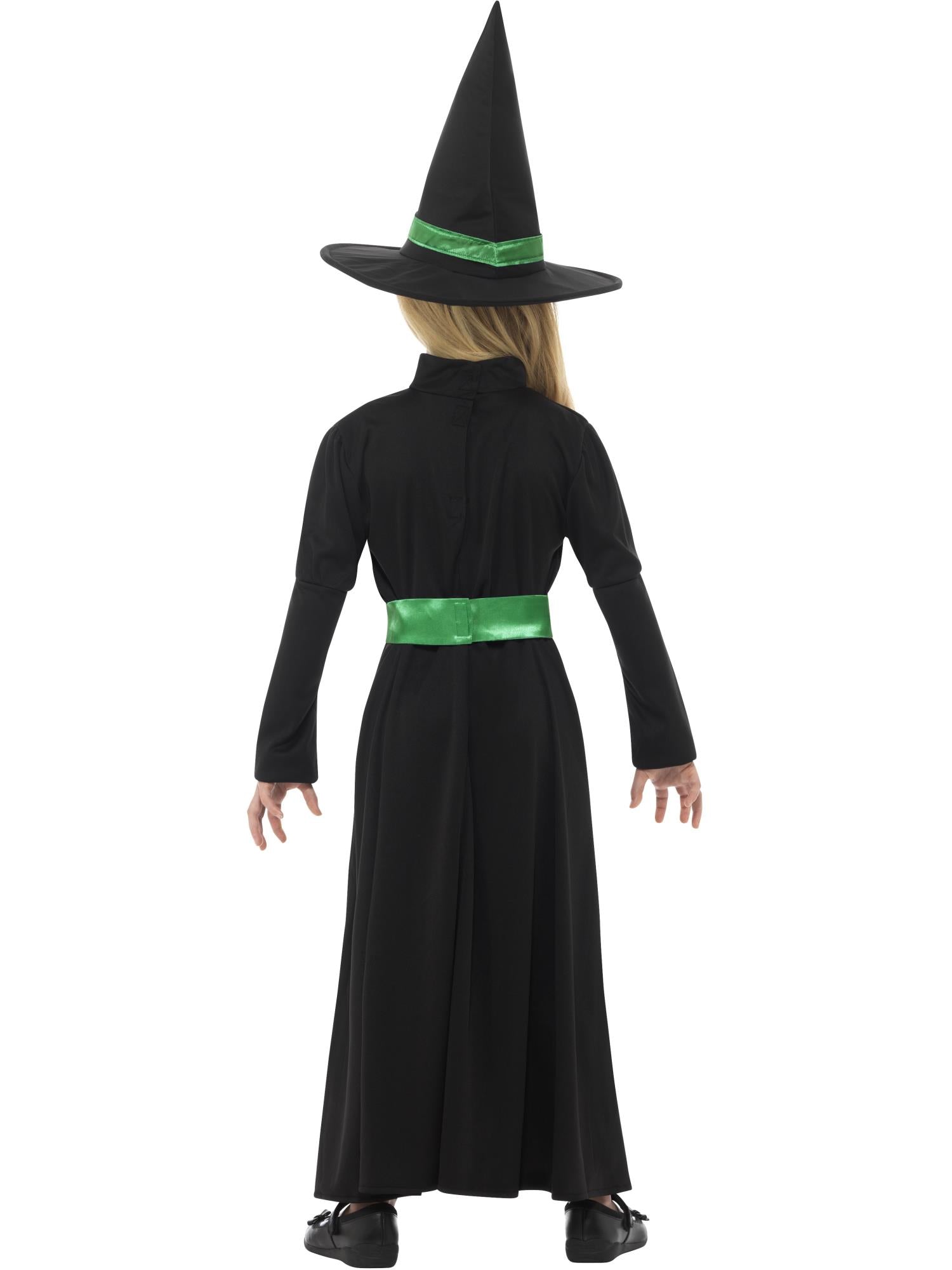 Wicked Witch Costume