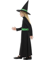 Wicked Witch Costume