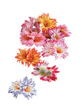 Tropical Botanical Flower Hair Clip