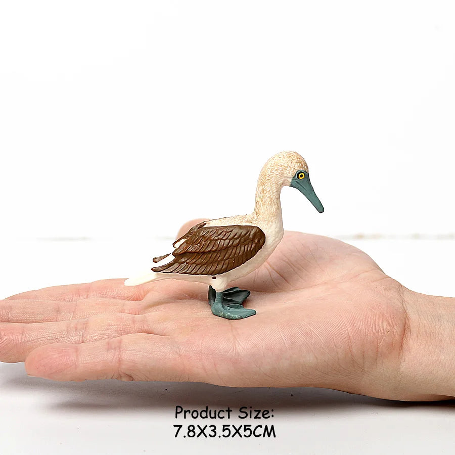 Wild Birds Animals Turkey Macaw Owl Eagles Ostrich Pelican Figurines Toy Animal Action Figure  Learning Education Birds Gifts