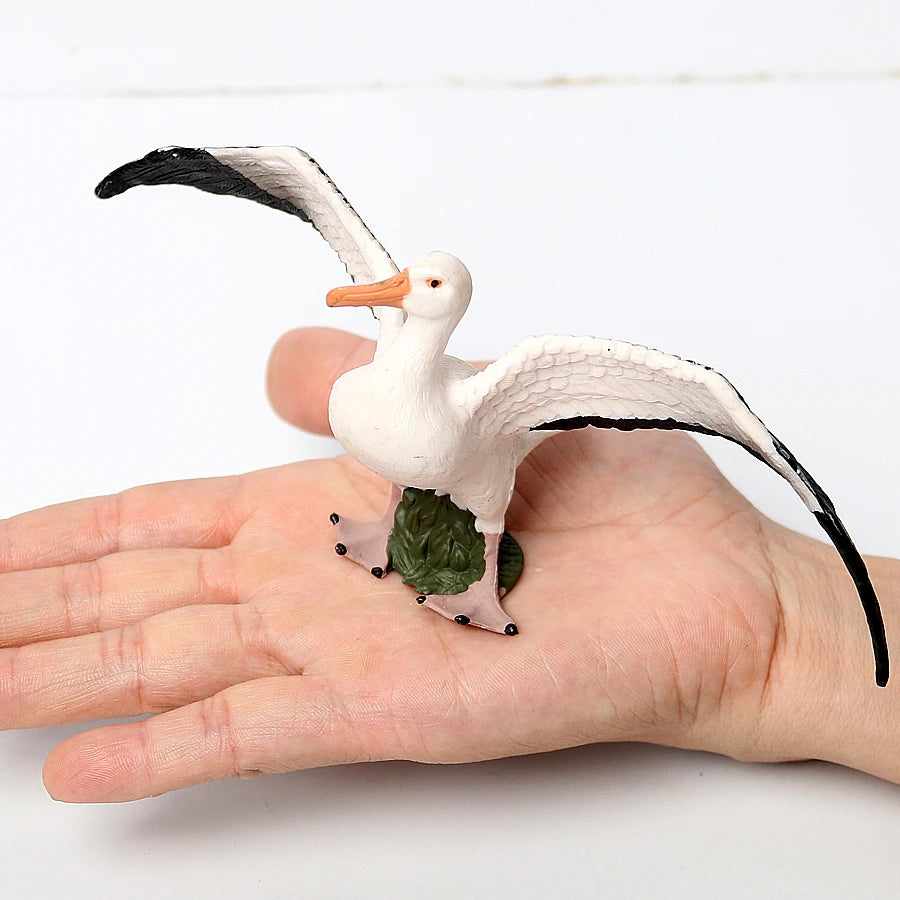Wild Birds Animals Turkey Macaw Owl Eagles Ostrich Pelican Figurines Toy Animal Action Figure  Learning Education Birds Gifts