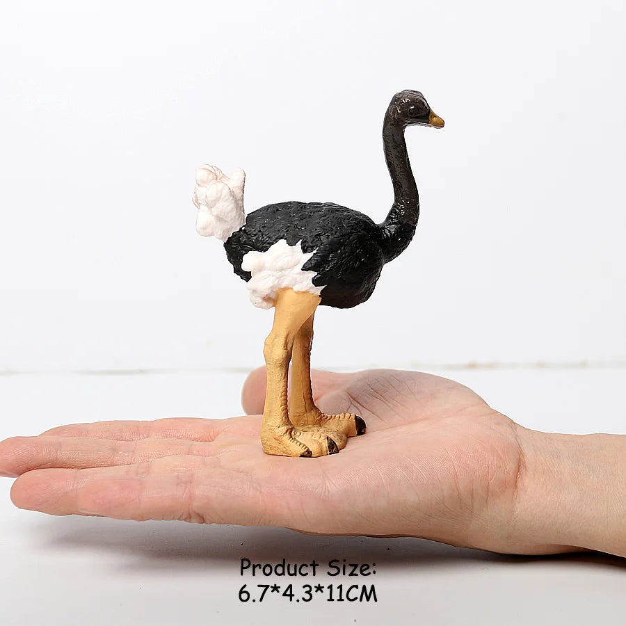 Wild Birds Animals Turkey Macaw Owl Eagles Ostrich Pelican Figurines Toy Animal Action Figure  Learning Education Birds Gifts
