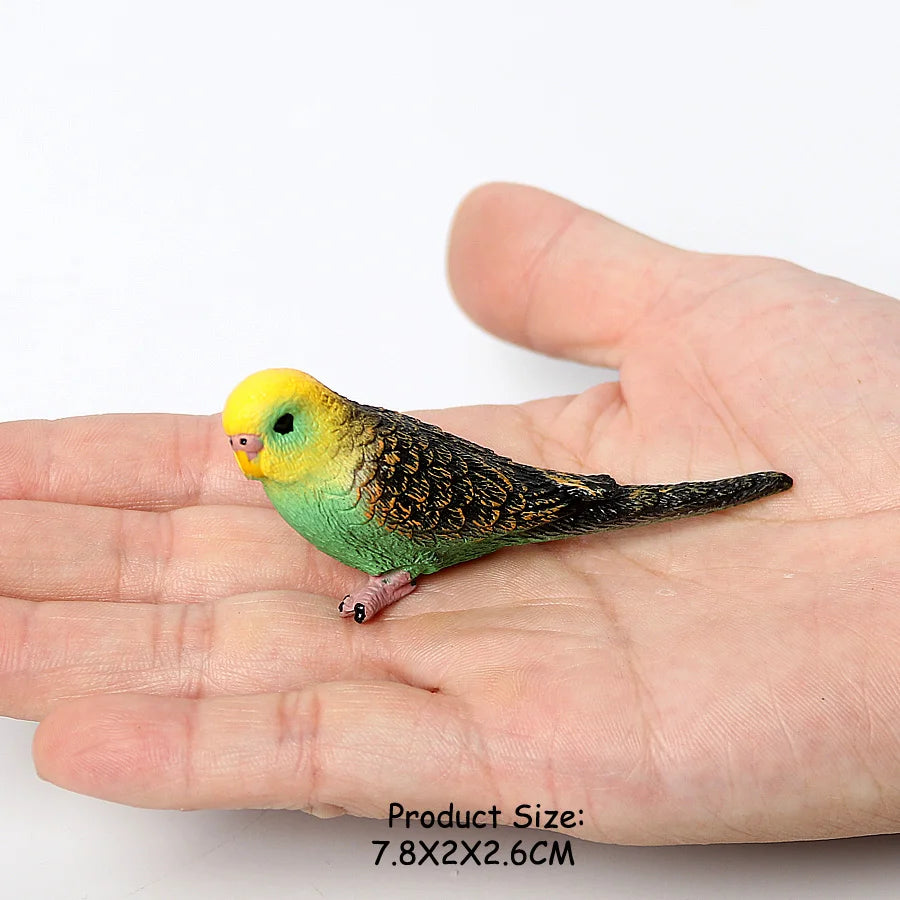 Wild Birds Animals Turkey Macaw Owl Eagles Ostrich Pelican Figurines Toy Animal Action Figure  Learning Education Birds Gifts