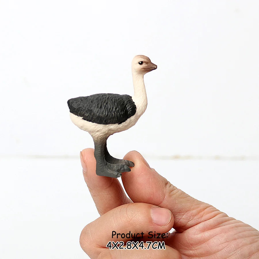 Wild Birds Animals Turkey Macaw Owl Eagles Ostrich Pelican Figurines Toy Animal Action Figure  Learning Education Birds Gifts