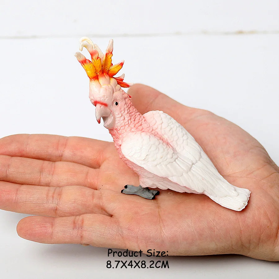 Wild Birds Animals Turkey Macaw Owl Eagles Ostrich Pelican Figurines Toy Animal Action Figure  Learning Education Birds Gifts
