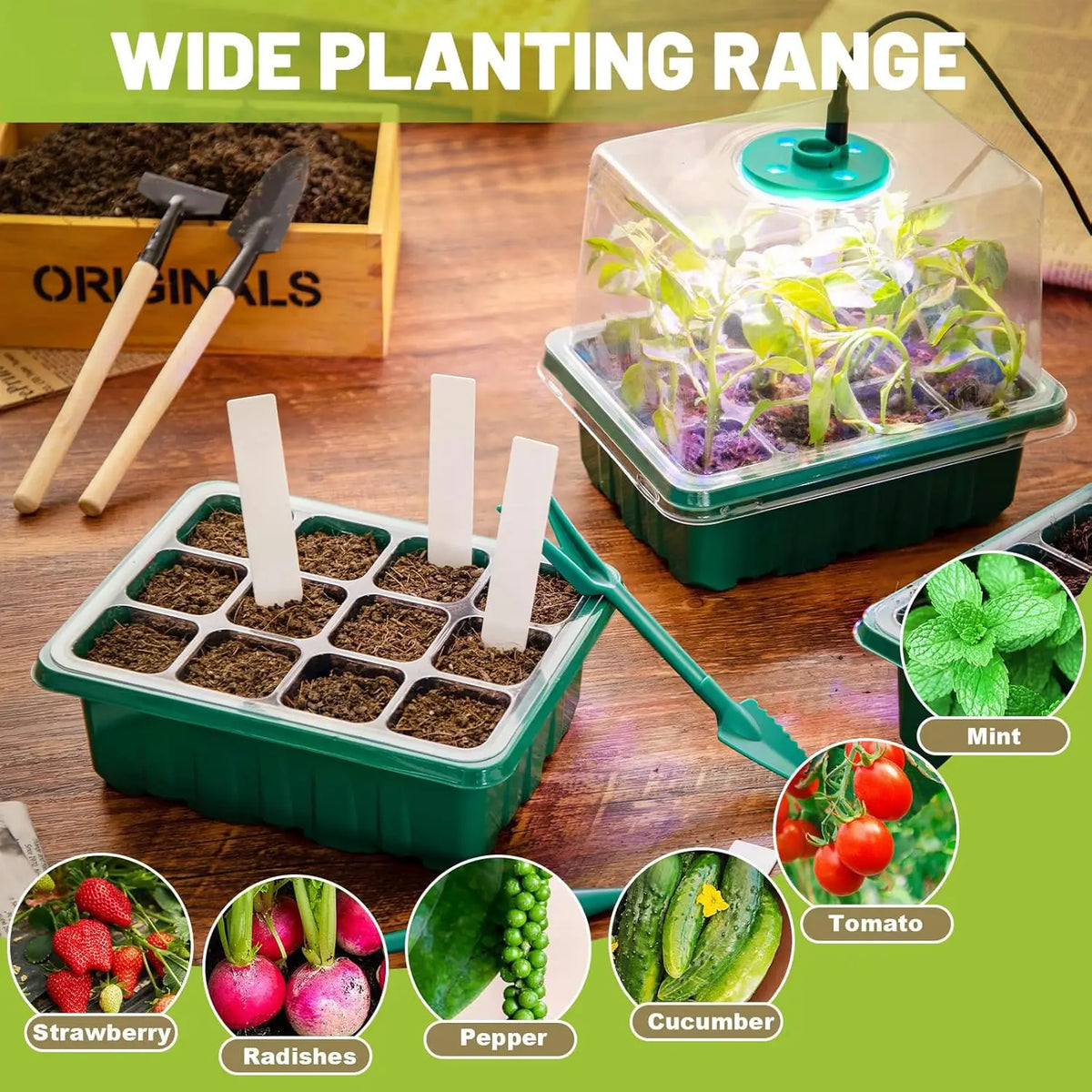 Seed Starter Tray with Grow Light, 2 Pack Seed Germination Kit, Adjustable Humidity Dome, Indoor Home Seedling Starter Tray