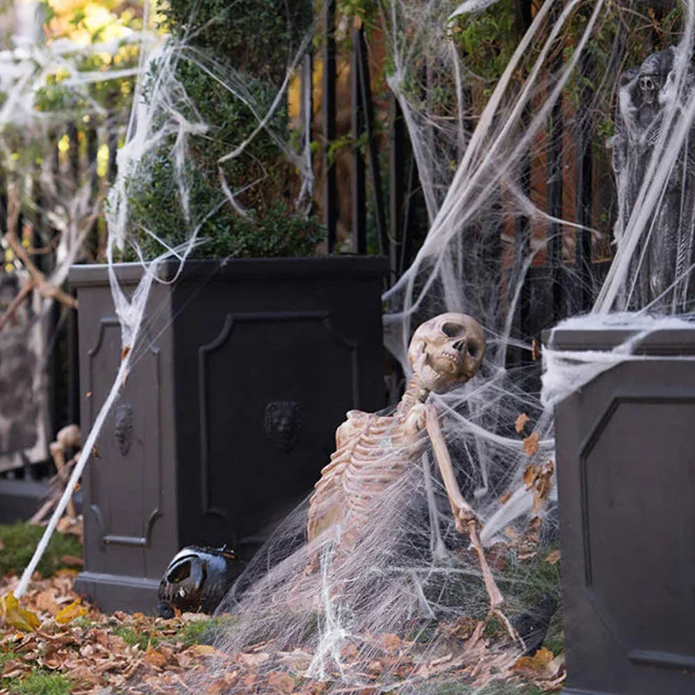 Halloween Spider Web Decoration with Spider for Haunted House