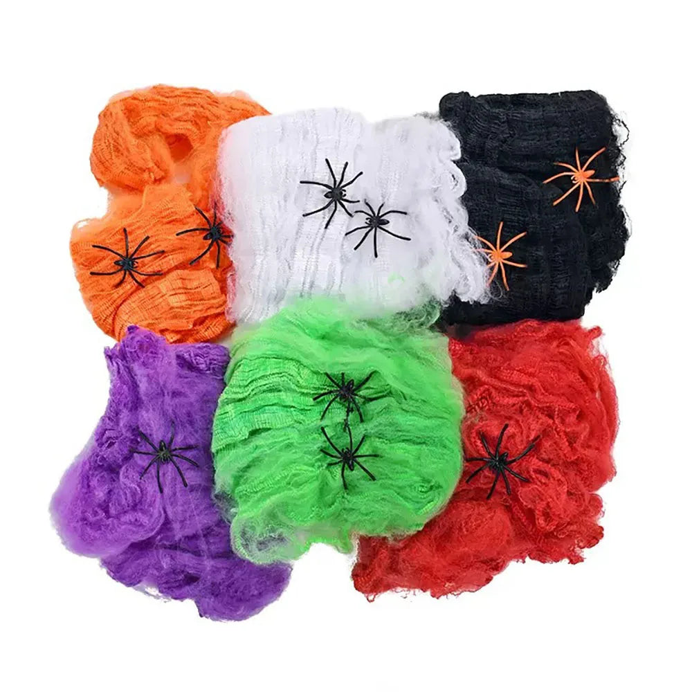 Halloween Spider Web Decoration with Spider for Haunted House