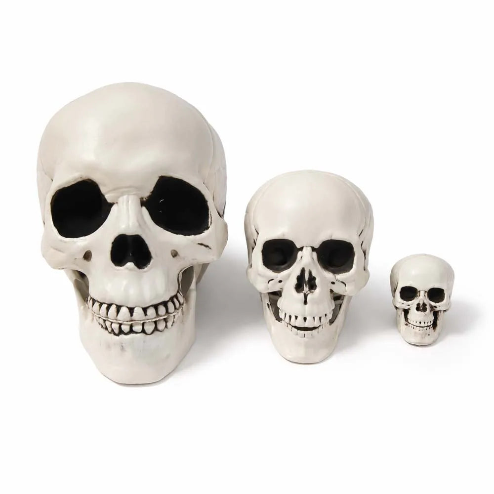 Realistic Plastic Skull Halloween Decoration for Haunted Houses