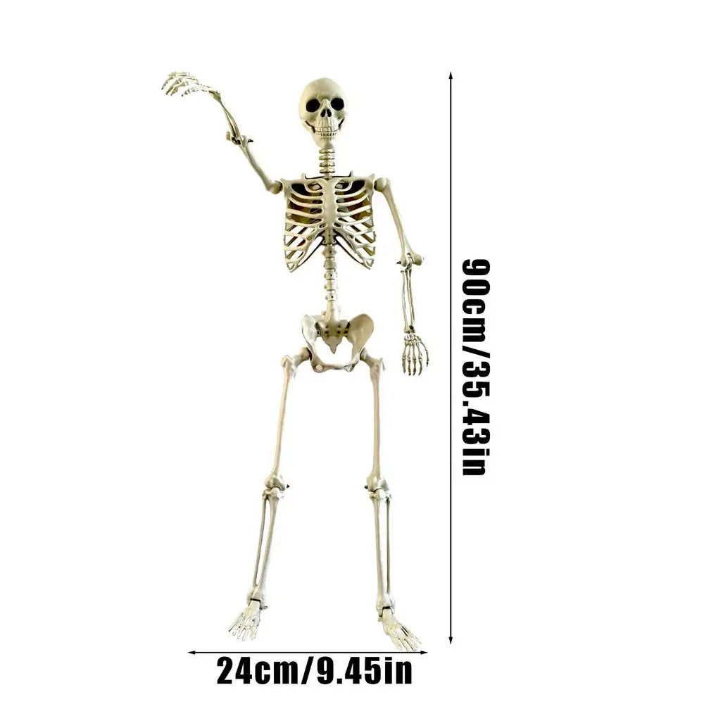 Halloween Realistic Body Bones  with Posable Joints Simulation Skull Ornament Haunted House Horror Props Garden Decor Decorative