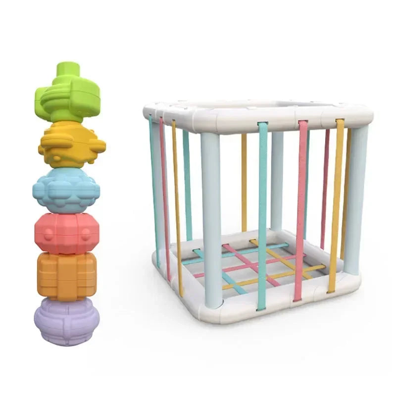 Montessori Baby Toys 0-12 Months Sensory Development Learning Educational Toys Colorful Blocks Sorting Game For Babies Infant