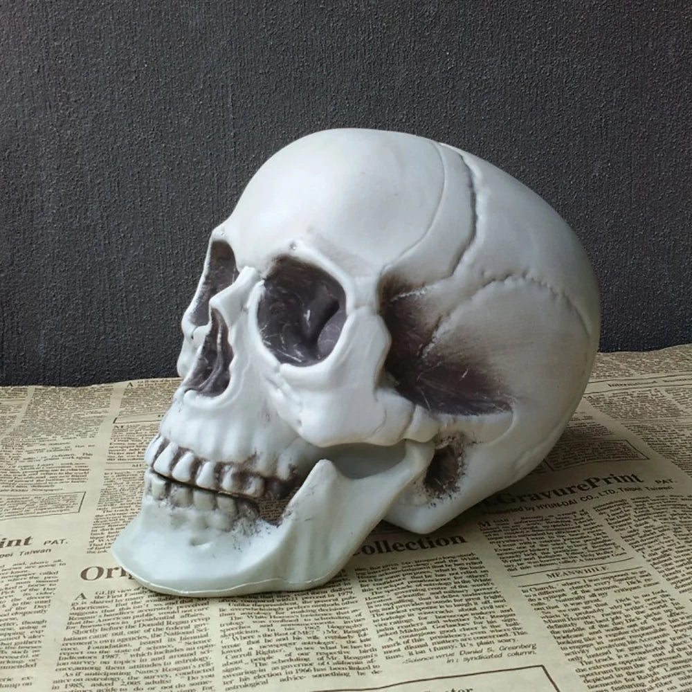 Realistic Plastic Skull Halloween Decoration for Haunted Houses