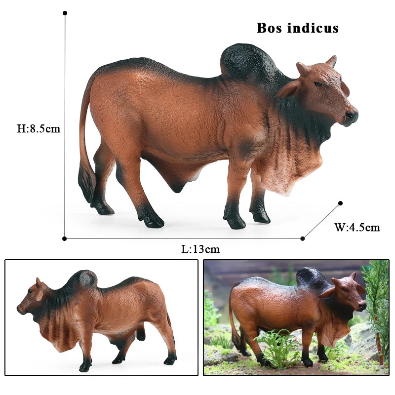 Oenux Farm Animals Bullfighting Cowboy Simulation Poultry Cattle Calf Bull OX Action Figures Collection Pvc Model Toy Kids Gift