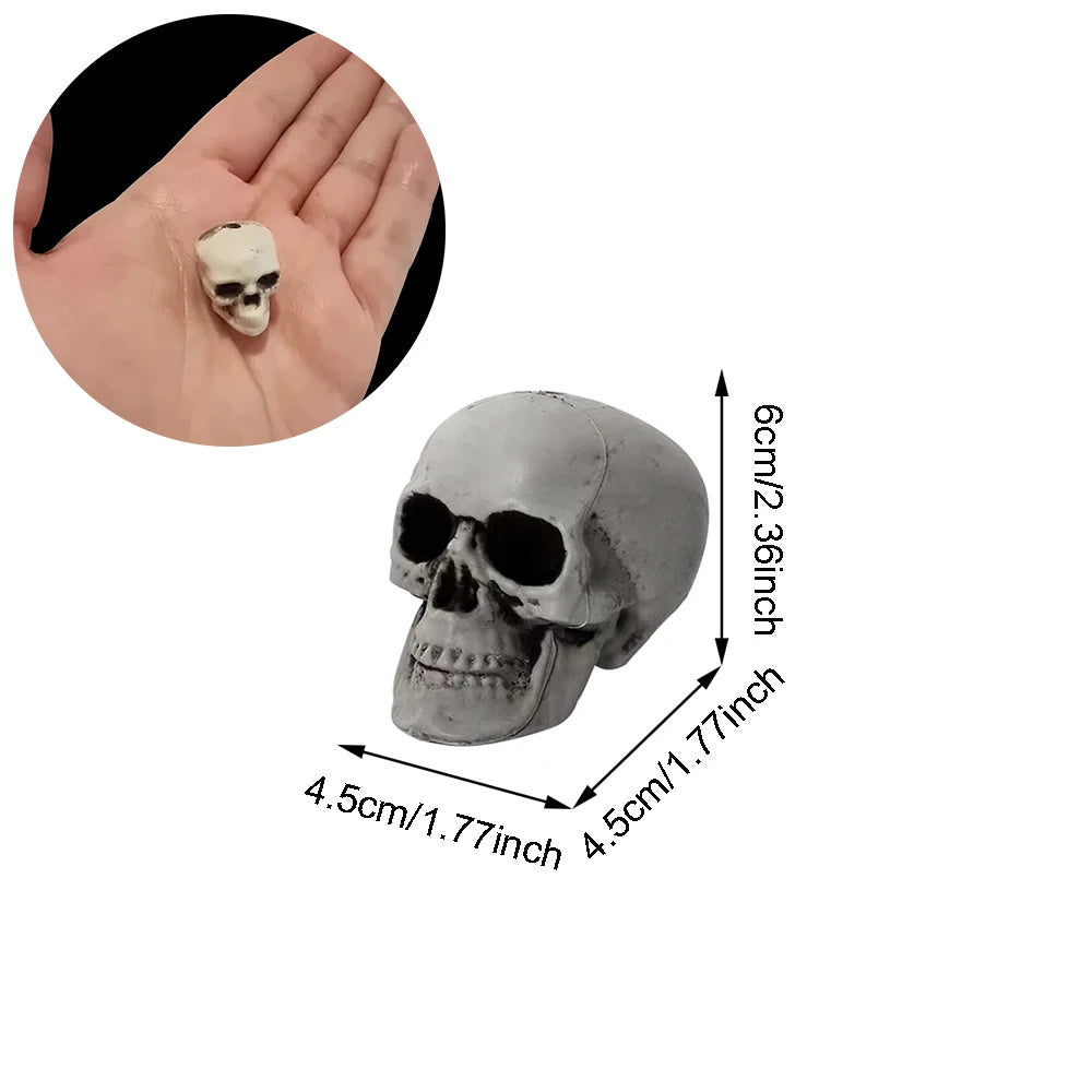 Realistic Plastic Skull Halloween Decoration for Haunted Houses