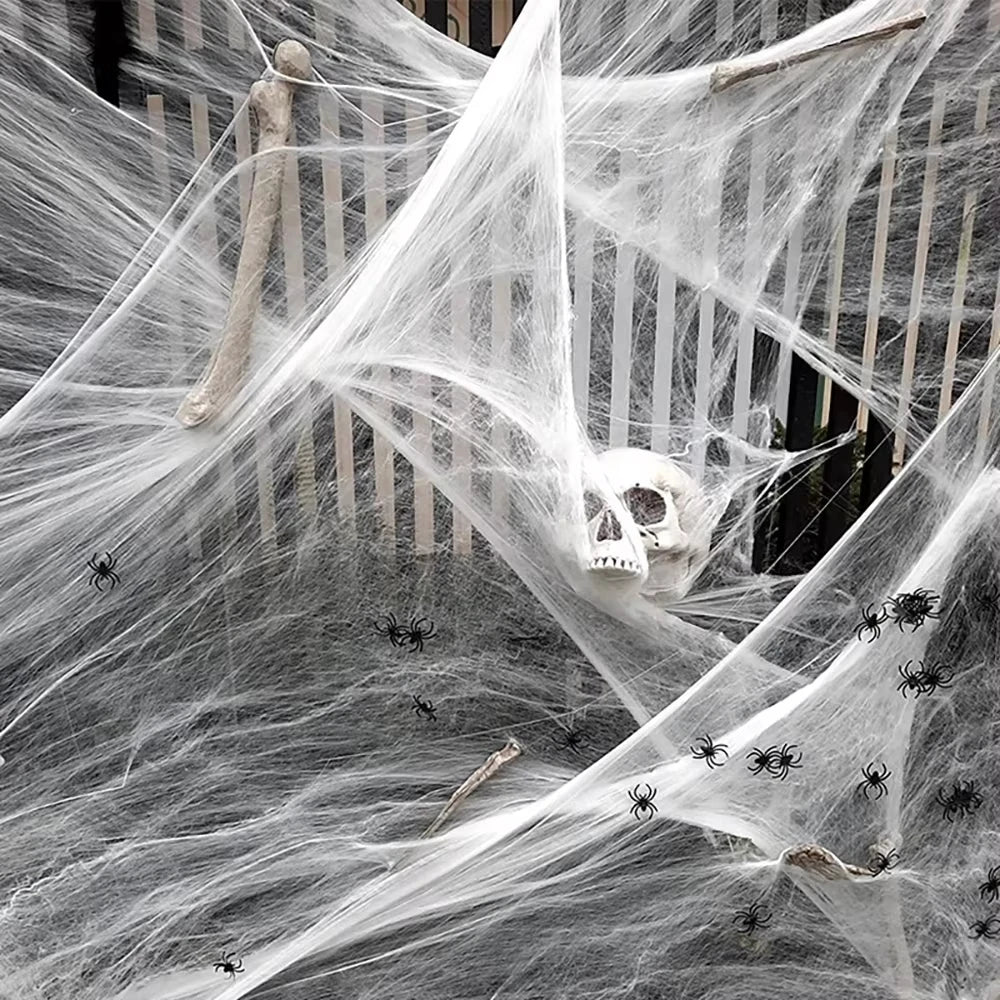 Halloween Spider Web Decoration with Spider for Haunted House
