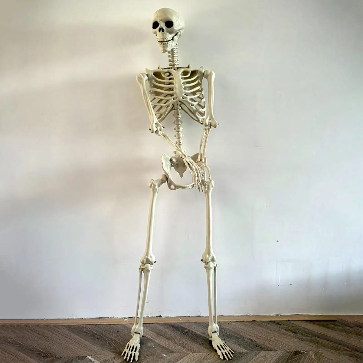 Halloween Realistic Body Bones  with Posable Joints Simulation Skull Ornament Haunted House Horror Props Garden Decor Decorative