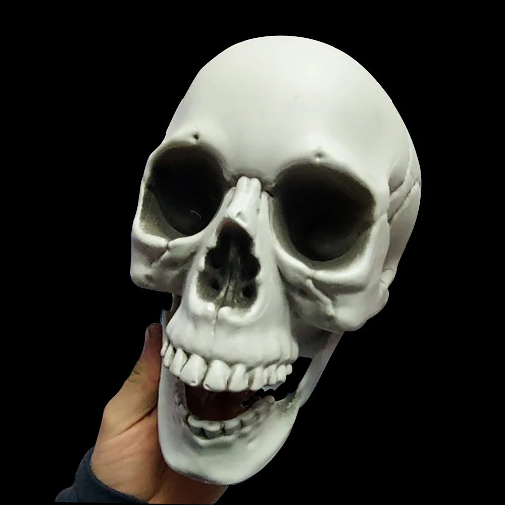 Realistic Plastic Skull Halloween Decoration for Haunted Houses