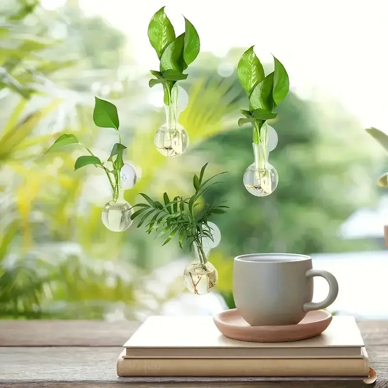 Creative Semi Circular Class Wall Mounted Vase Flower Plate Plant Hydroponic Aquarium Wall Fish Tank Aquarium Home Decoration