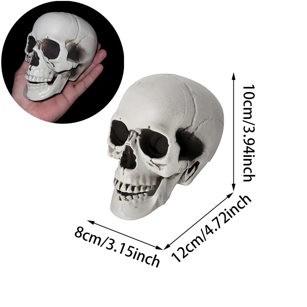 Realistic Plastic Skull Halloween Decoration for Haunted Houses