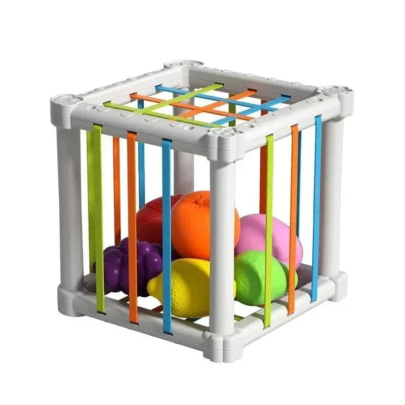 Baby Sensory Bin Shape Sorter Colorful Cube Sorting Game Shape Blocks Montessori Educational Toys Game for 1 2 Year Old Boy Girl