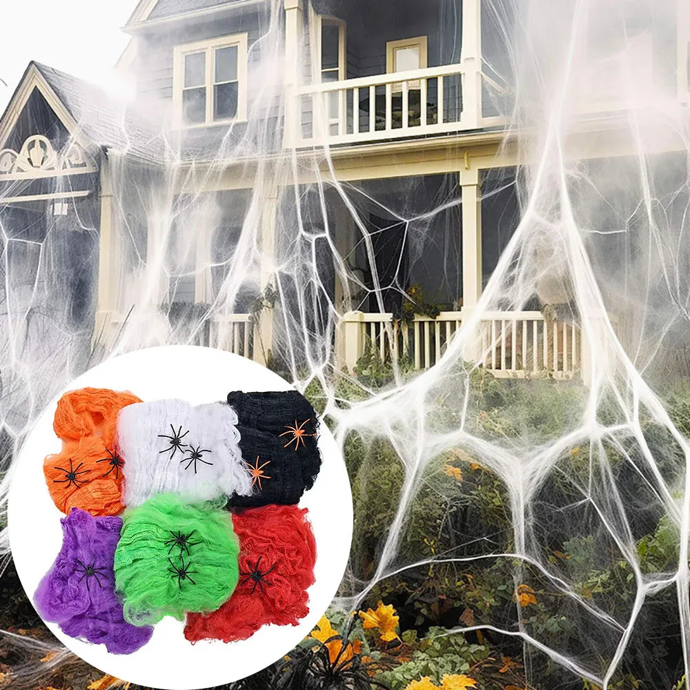 Halloween Spider Web Decoration with Spider for Haunted House