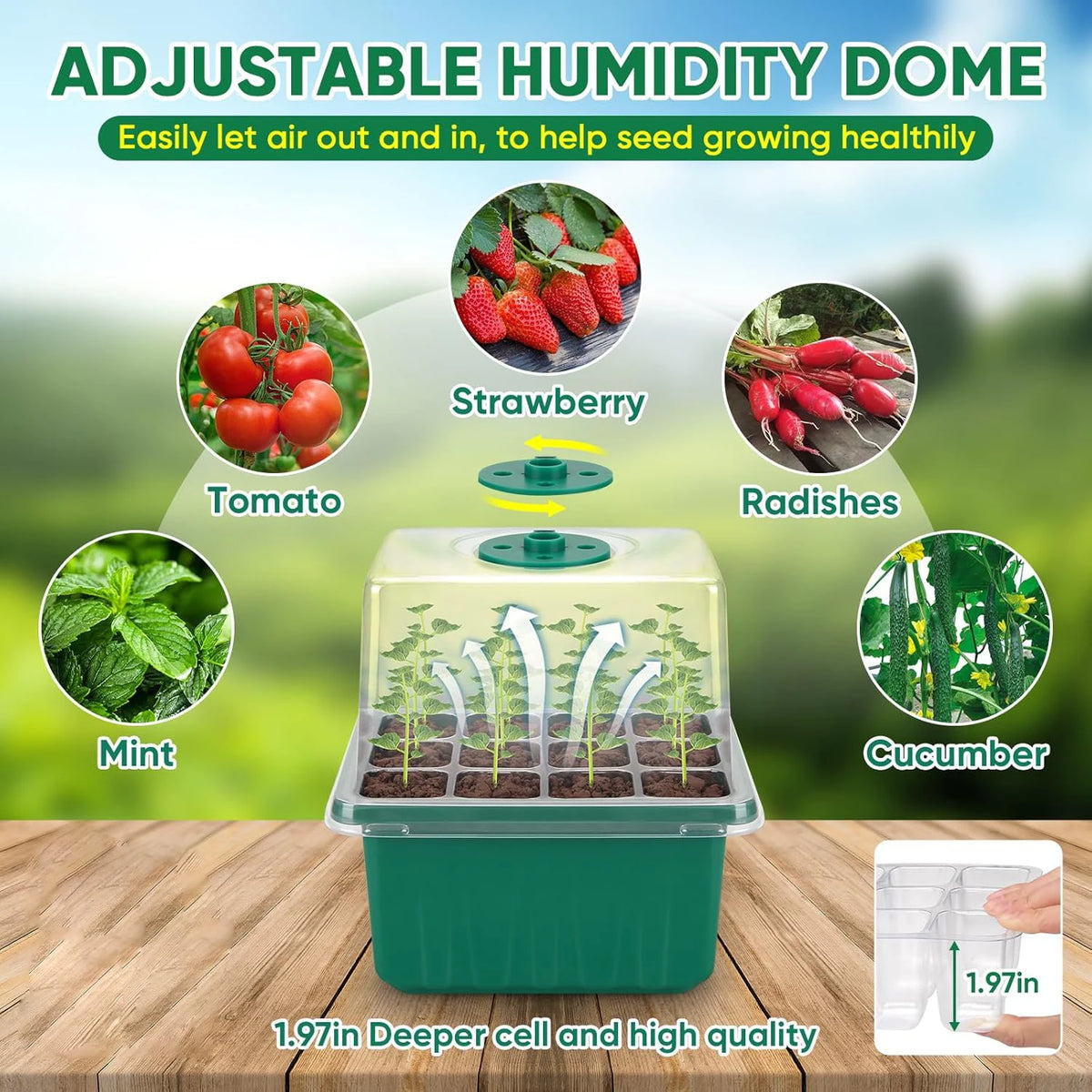 Seed Starter Tray with Grow Light, 2 Pack Seed Germination Kit, Adjustable Humidity Dome, Indoor Home Seedling Starter Tray