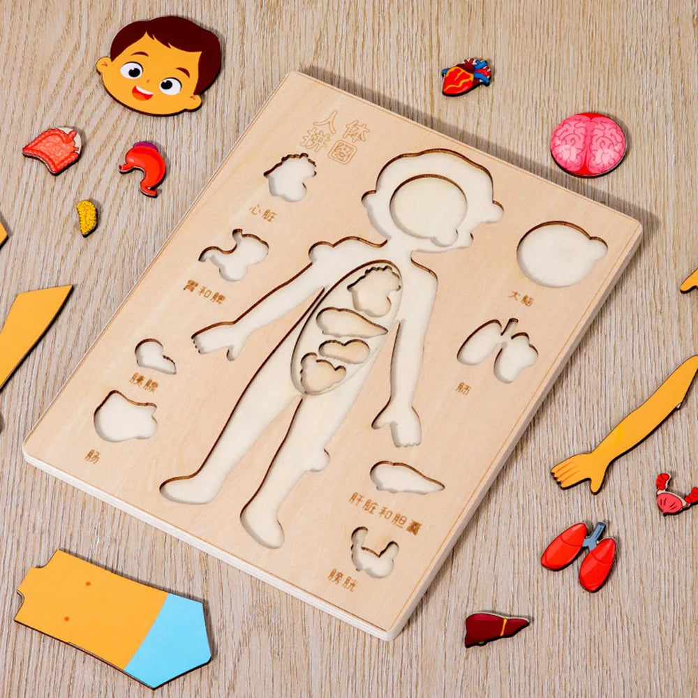 Montessori Puzzles Busy Board Human Body Teaching Learning Body Parts For Children Early Education Games Toddlers Quiet Books