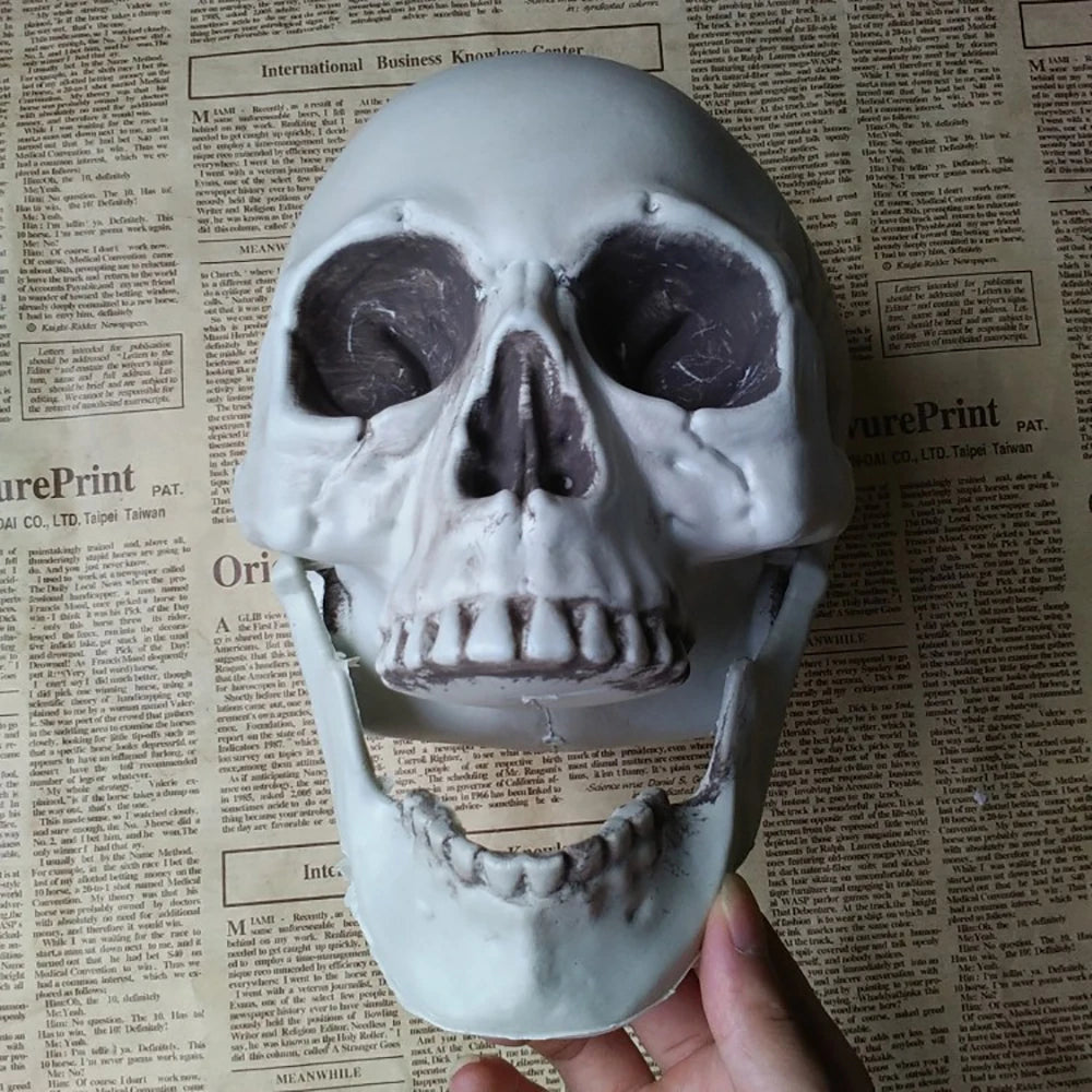 Realistic Plastic Skull Halloween Decoration for Haunted Houses