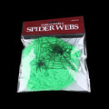 Halloween Spider Web Decoration with Spider for Haunted House