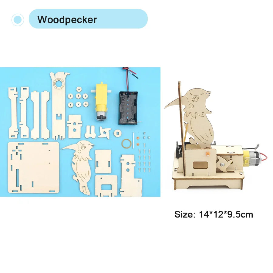 DIY Science Kit Educational STEM Kits Car Dinosaur Model Technologia Experimental Tool Wood Puzzle Games School Supply