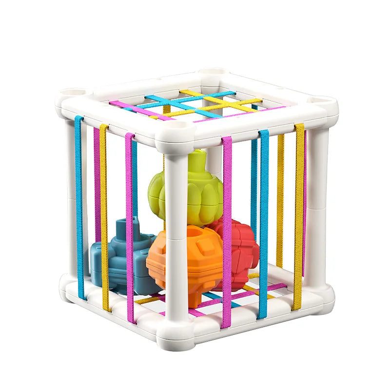 Baby Sensory Bin Shape Sorter Colorful Cube Sorting Game Shape Blocks Montessori Educational Toys Game for 1 2 Year Old Boy Girl