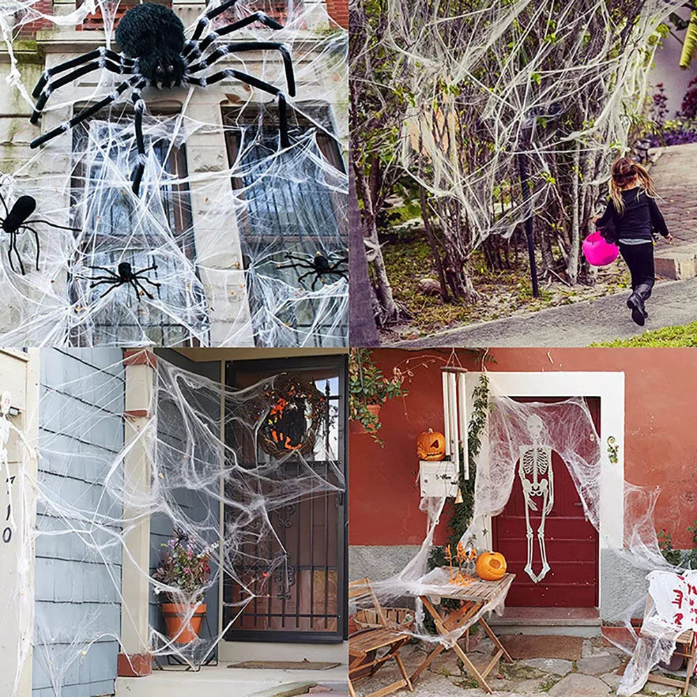Halloween Spider Web Decoration with Spider for Haunted House