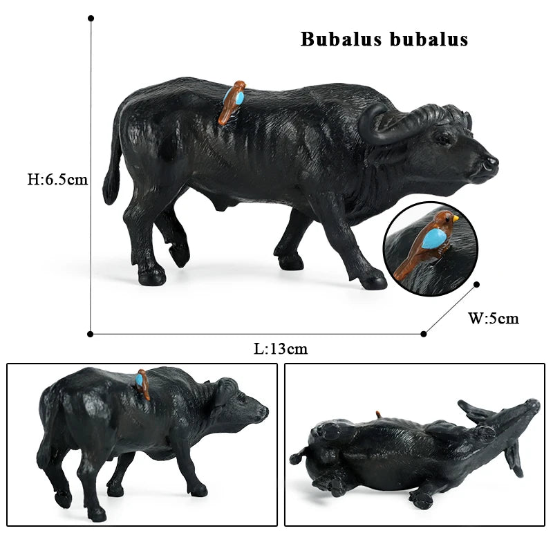 Oenux Farm Animals Bullfighting Cowboy Simulation Poultry Cattle Calf Bull OX Action Figures Collection Pvc Model Toy Kids Gift