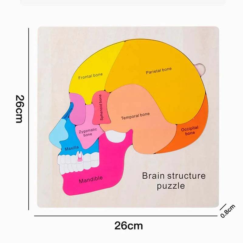 Montessori Puzzles Busy Board Human Body Teaching Learning Body Parts For Children Early Education Games Toddlers Quiet Books