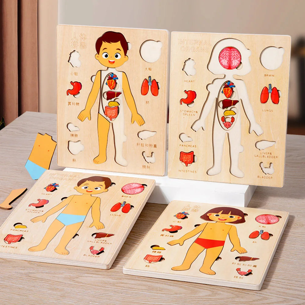 Montessori Puzzles Busy Board Human Body Teaching Learning Body Parts For Children Early Education Games Toddlers Quiet Books