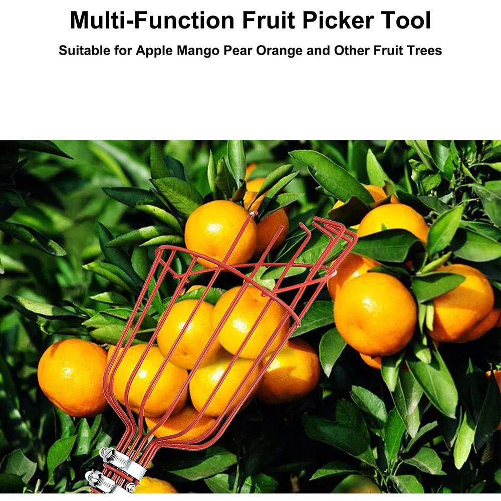 260cm Fruit Picker, Adjustable Depth Basket, Convenient Garden Tool, Picker Basket for Picking Apples