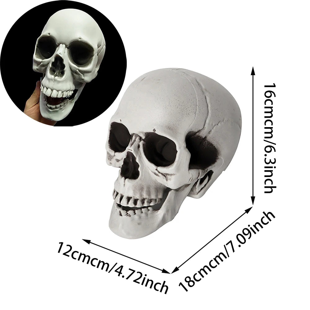 Realistic Plastic Skull Halloween Decoration for Haunted Houses