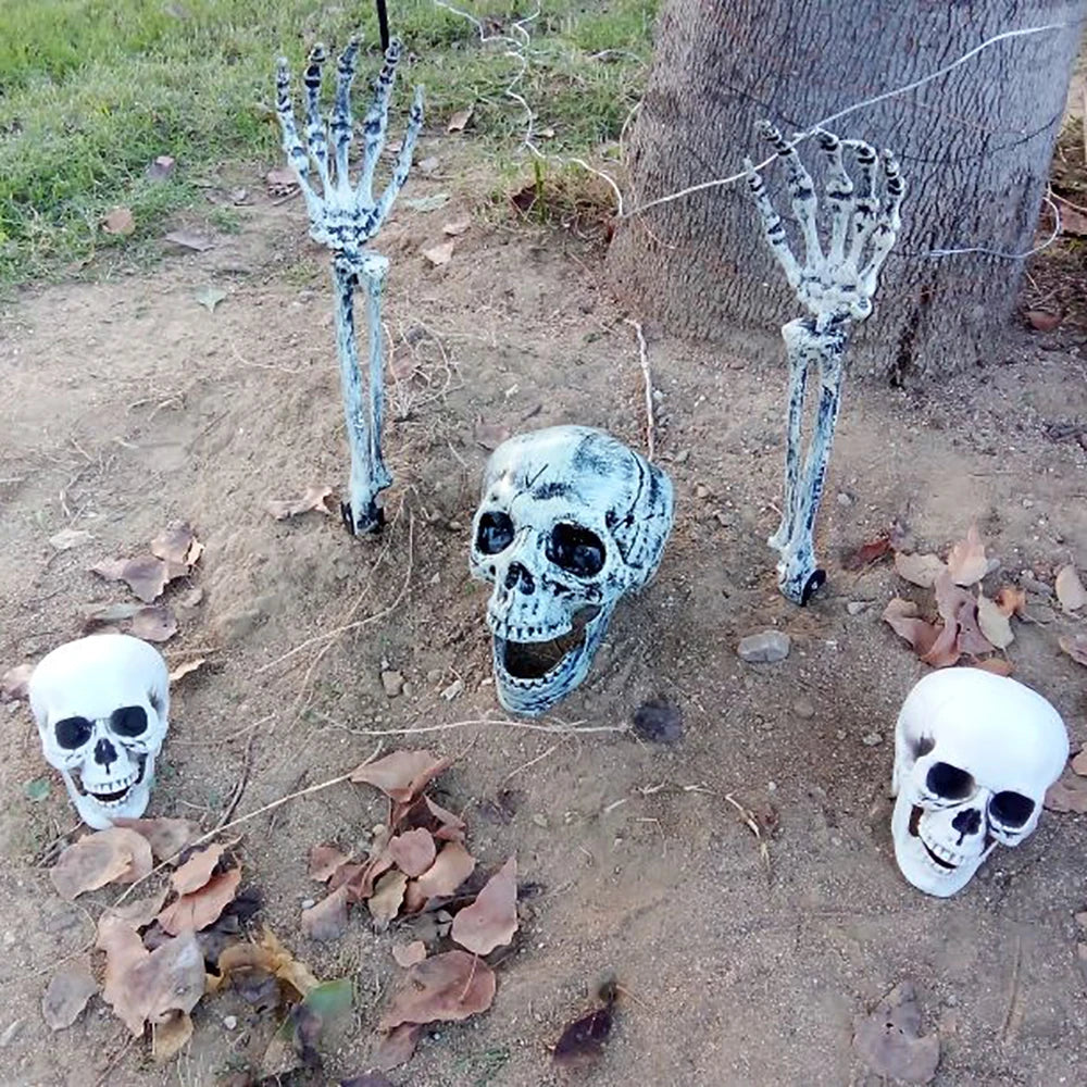 Realistic Plastic Skull Halloween Decoration for Haunted Houses